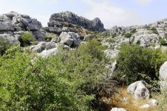 DSC00058