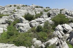 DSC00062