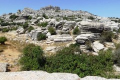 DSC00080