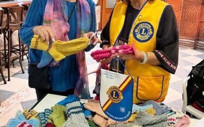 Leijonaladyjen joulukeräys 2025