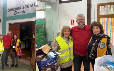 Leijonaladyjen joulukeräys 2025