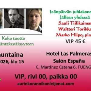 VIP Konserttilippu